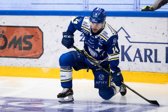 Leksands Oskar Lang