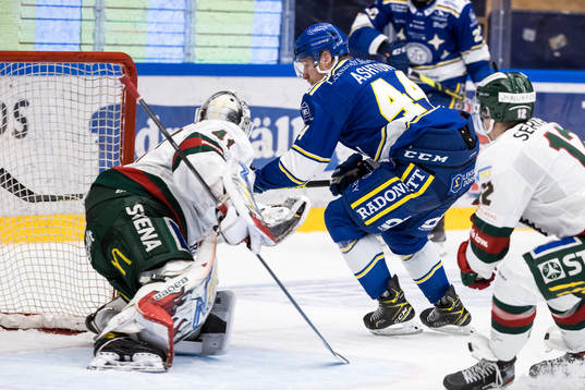 Leksands Carter Ashton och Frölundas målvakt Niklas Rubin