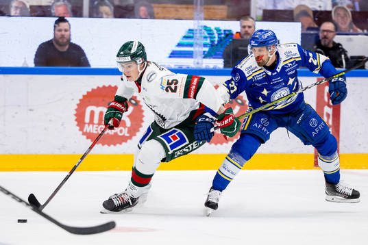 Frölundas Elmer Söderblom och Leksands Marek Hrivik