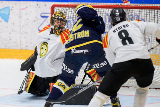 Brynäs målvakt Samuel Ersson