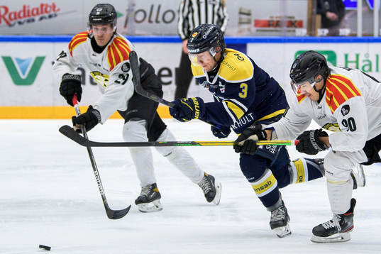 s Daniel Bertov i en kamp mot Brynäs Oscar Birgersson och