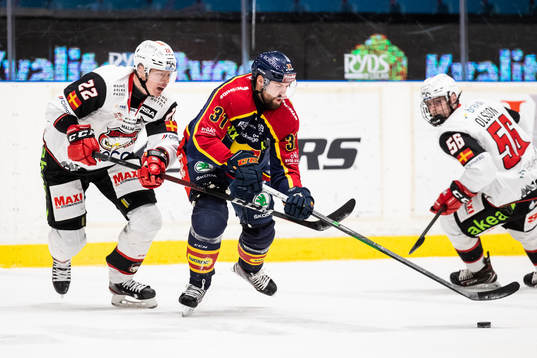 Malmö Redhawks Lars Bryggman och Djurgårdens Dick Axelsson