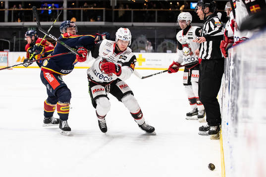 Djurgårdens Jesper Pettersson och Malmö Redhawks Adam