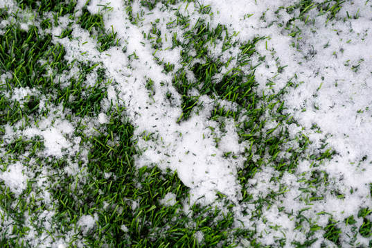Snö på konstgräsplanen på Malmö IP