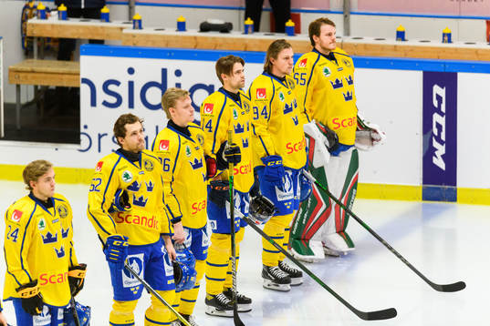 Players of Sweden