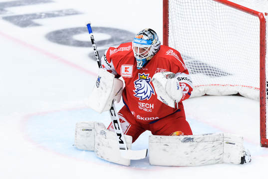 Goalkeeper Patrik Bartosak of Czech Republic