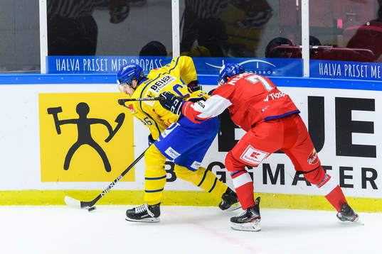 Emil Larsson of Sweden and David Nemecek of Czech Republic