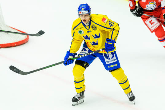 Daniel Viksten of Sweden