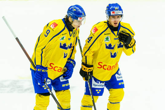 Albert Johansson and Andreas Wingerli of Sweden