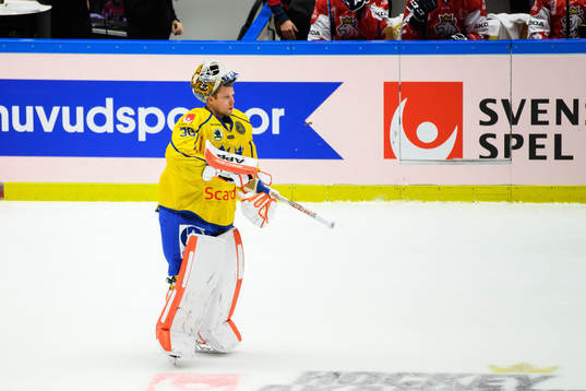 Goalkeeper Viktor Fasth of Sweden