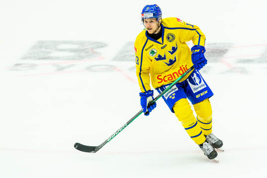 Niklas Hansson of Sweden
