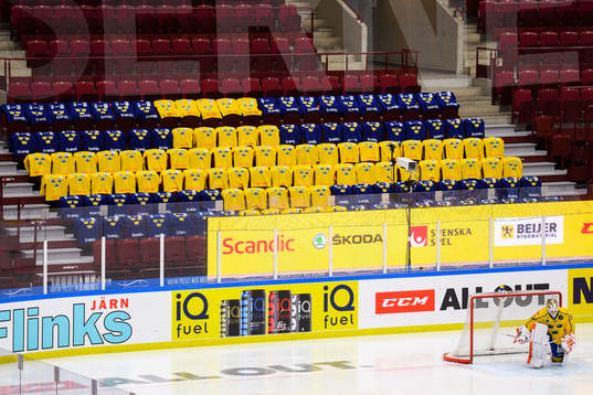 Goalkeeper Viktor Fasth of Sweden