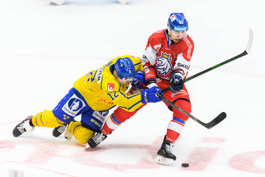 Max Friberg of Sweden and Radan Lenc of Czech Republic