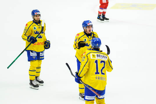 Andreas Wingerli of Sweden celebrates