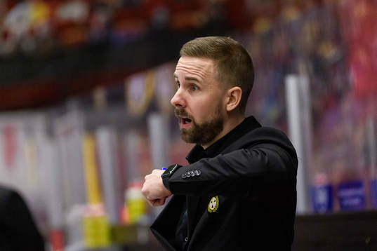 Brynäs assisterande tränare Viktor Stråhle