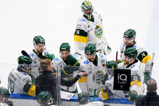 Björklövens spelare