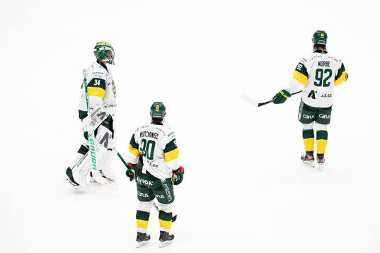 Björklövens målvakt Kevin Poulin , Alex Hutchings och
