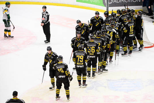s spelare jublar med målvakt Claes Endre