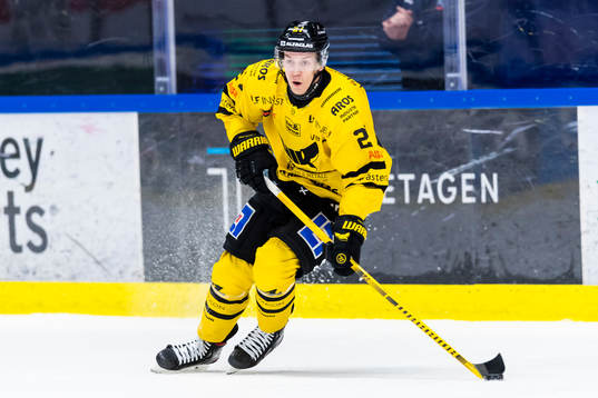 Västerås Sebastian Benker