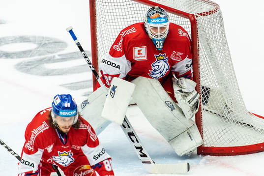 Goalkeeper Patrik Bartosak of Czech Republic