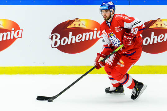 Michael Spacek of Czech Republic