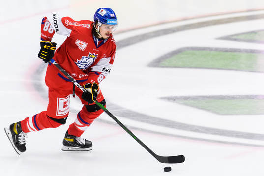 Libor Sulak of Czech Republic