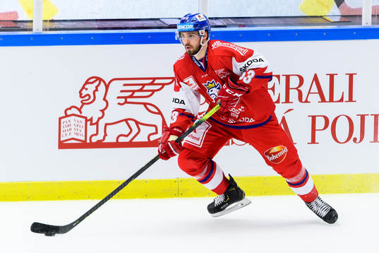 Michael Spacek of Czech Republic