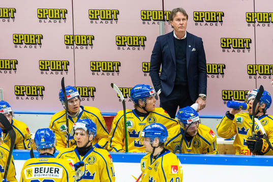 Head coach Johan Garpenlöv of Sweden