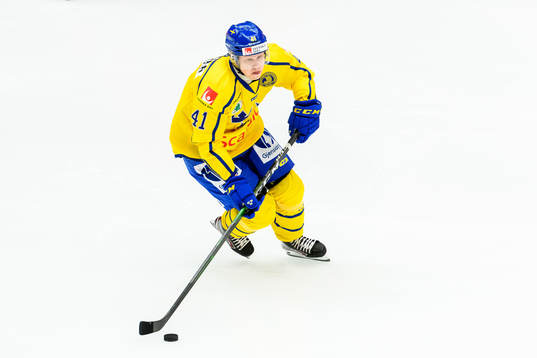 Daniel Viksten of Sweden