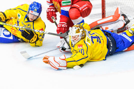 Goalkeeper Viktor Fasth of Sweden