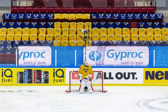 Goalkeeper Viktor Fasth of Sweden –during the Beijer