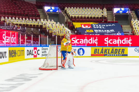 Goalkeeper Viktor Fasth of Sweden