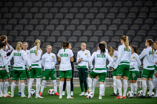 Hammarbys spelare samlas i en ring