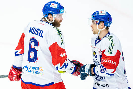 David Musil of Czech Republic