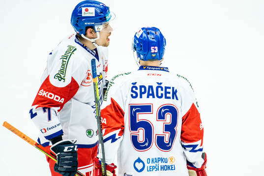 Michael Spacek of Czech Republic