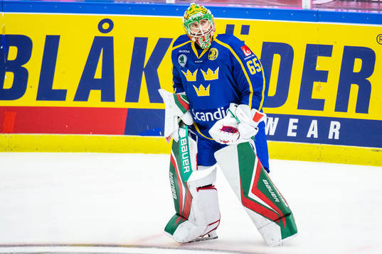 Goalkeeper Christoffer Rifalk of Sweden