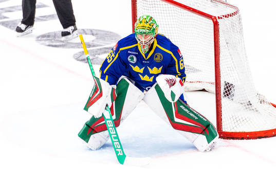 Goalkeeper Christoffer Rifalk of Sweden
