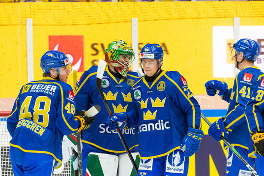 Goalkeeper Christoffer Rifalk of Sweden celebrates with