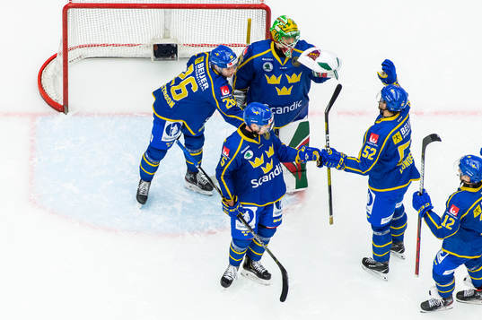 Goalkeeper Christoffer Rifalk of Sweden celebrates with