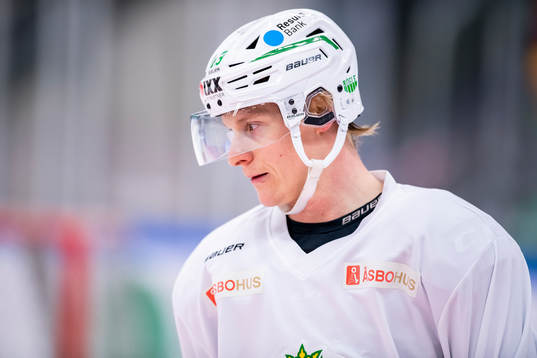 Rögles Olli Palola