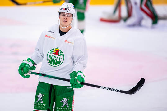 Rögles Erlend Lesund