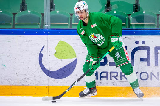 Rögles Daniel Zaar