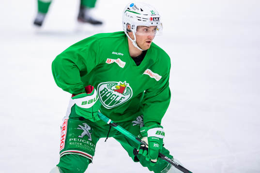 Rögles Simon Ryfors