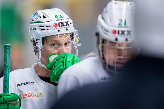 Rögles Olli Palola