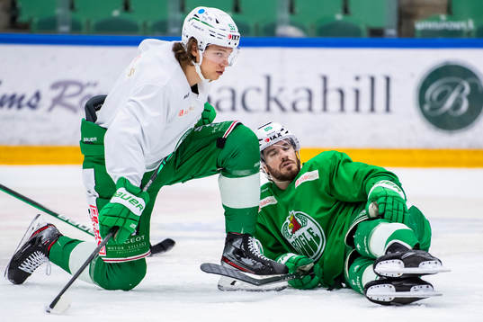 Rögles Moritz Seider och Eric Gelinas
