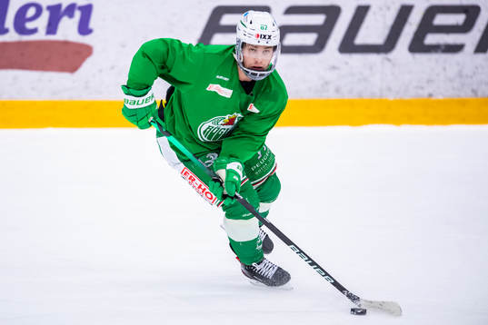 Rögles Leon Bristedt