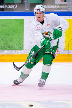 Rögles Olli Palola