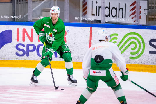 Rögles Ted Brithén