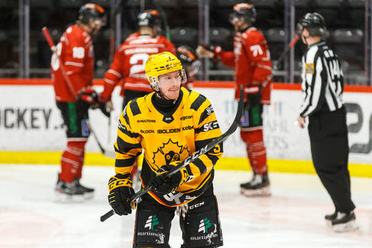 Skellefteås Niclas Burström deppar