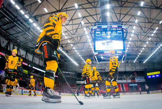 Skellefteås Darren Nowick deppar